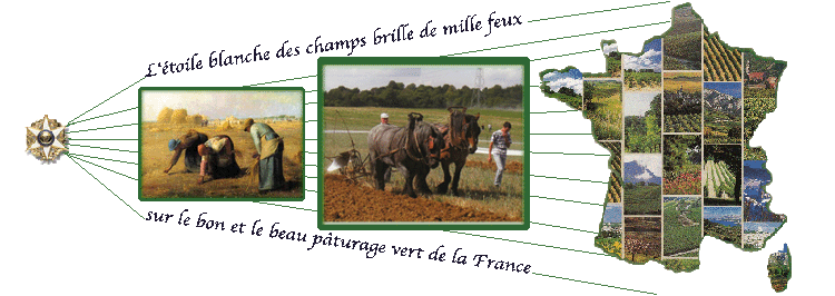 faisceau