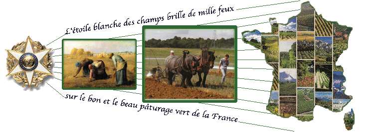 faisceau
